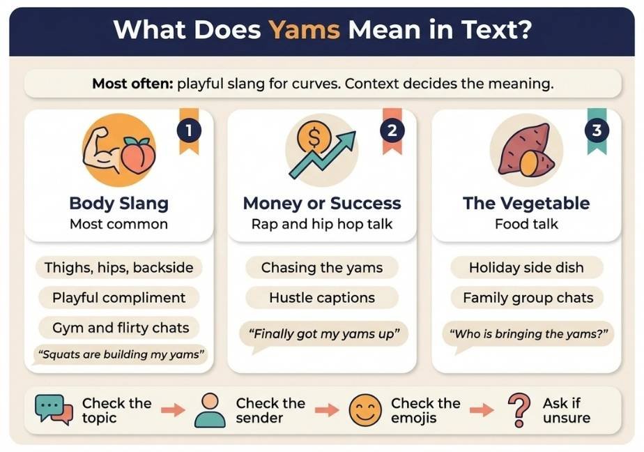 Flat design infographic titled "What Does Yams Mean in Text?" explaining three meanings of yams in text slang across three columns: Body Slang, Money or Success, and The Vegetable.