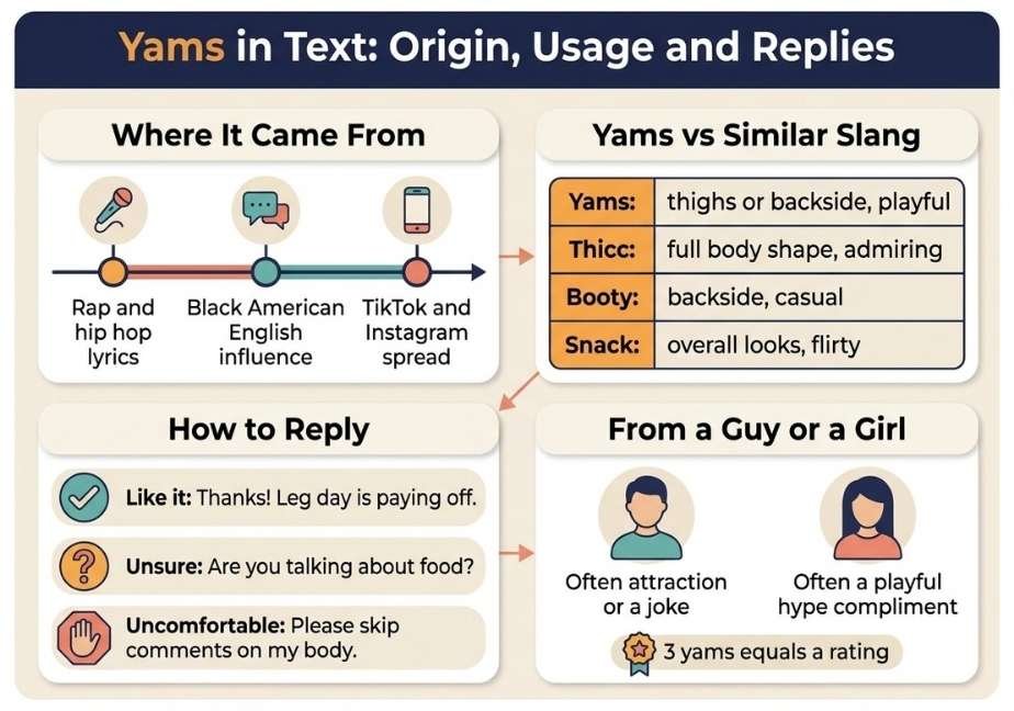 Flat design infographic titled "Yams in Text: Origin, Usage and Replies" detailing slang origin timeline, comparison table, reply strategies, and sender dynamics.